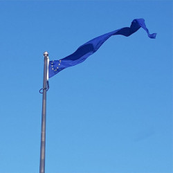 Vimpilai (trikampės vėliavos)