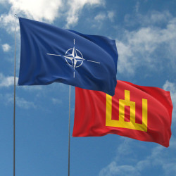 Kariuomenės vėliavos