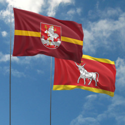 Lietuvos miestų vėliavos