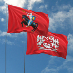 Lietuvos regionų ir rajonų vėliavos