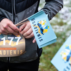 Popierinės vėliavėlės