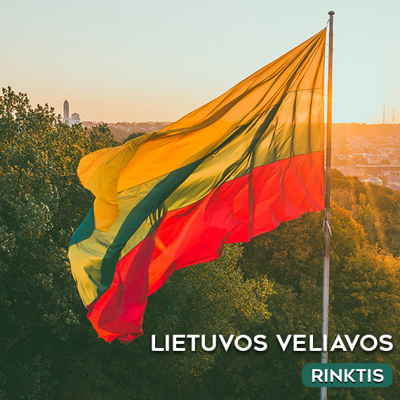 Lietuvos vėliavos
